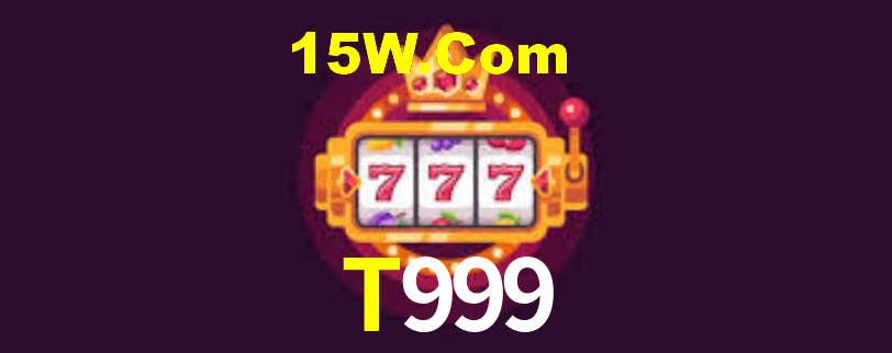 Premium Interface T999
